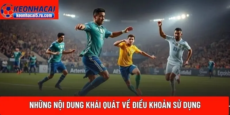 Những nội dung khái quát điều khoản sử dụng