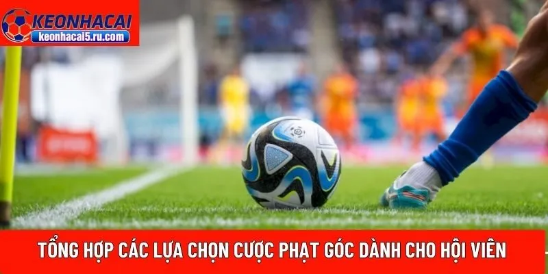 Tổng hợp các lựa chọn cược phạt góc